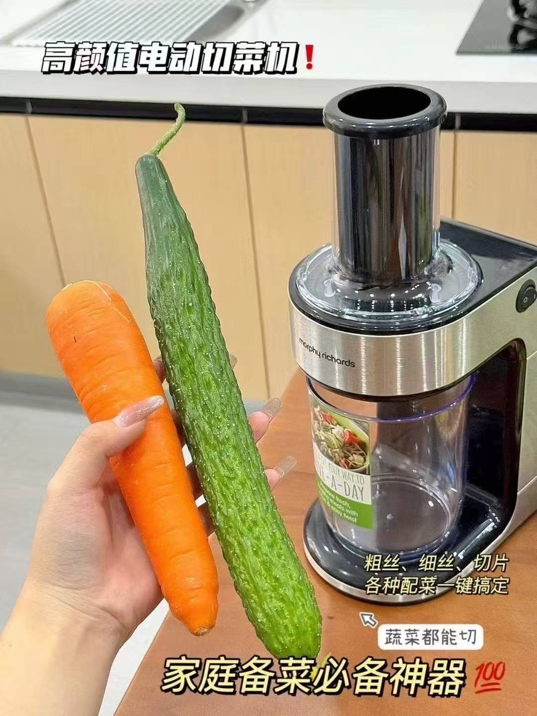 Export foreign trade original order from the UK, Morphy Richards vegetable chopper