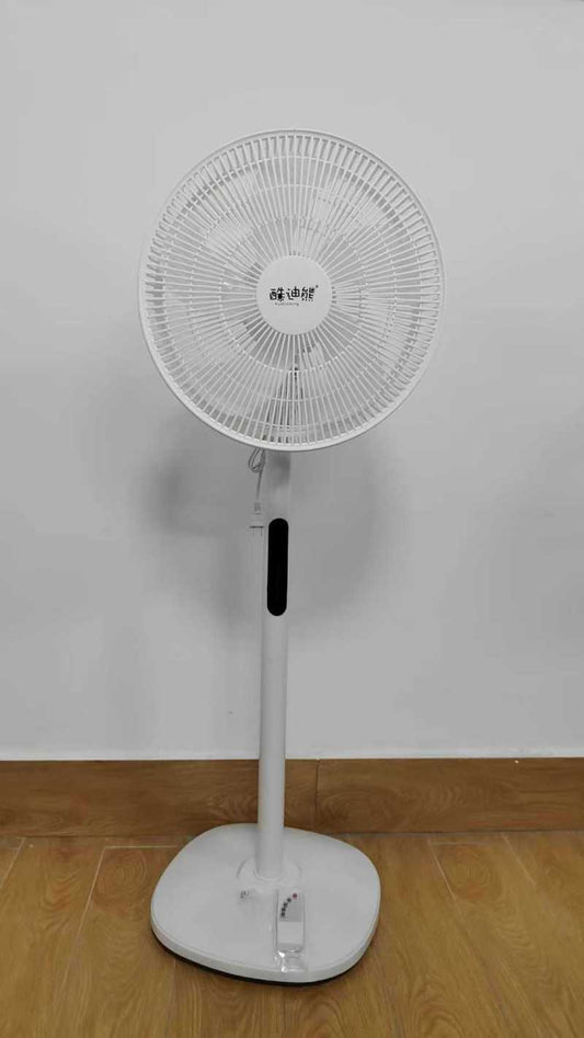 Remote control fan
