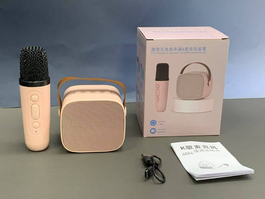 Y1 single microphone speaker